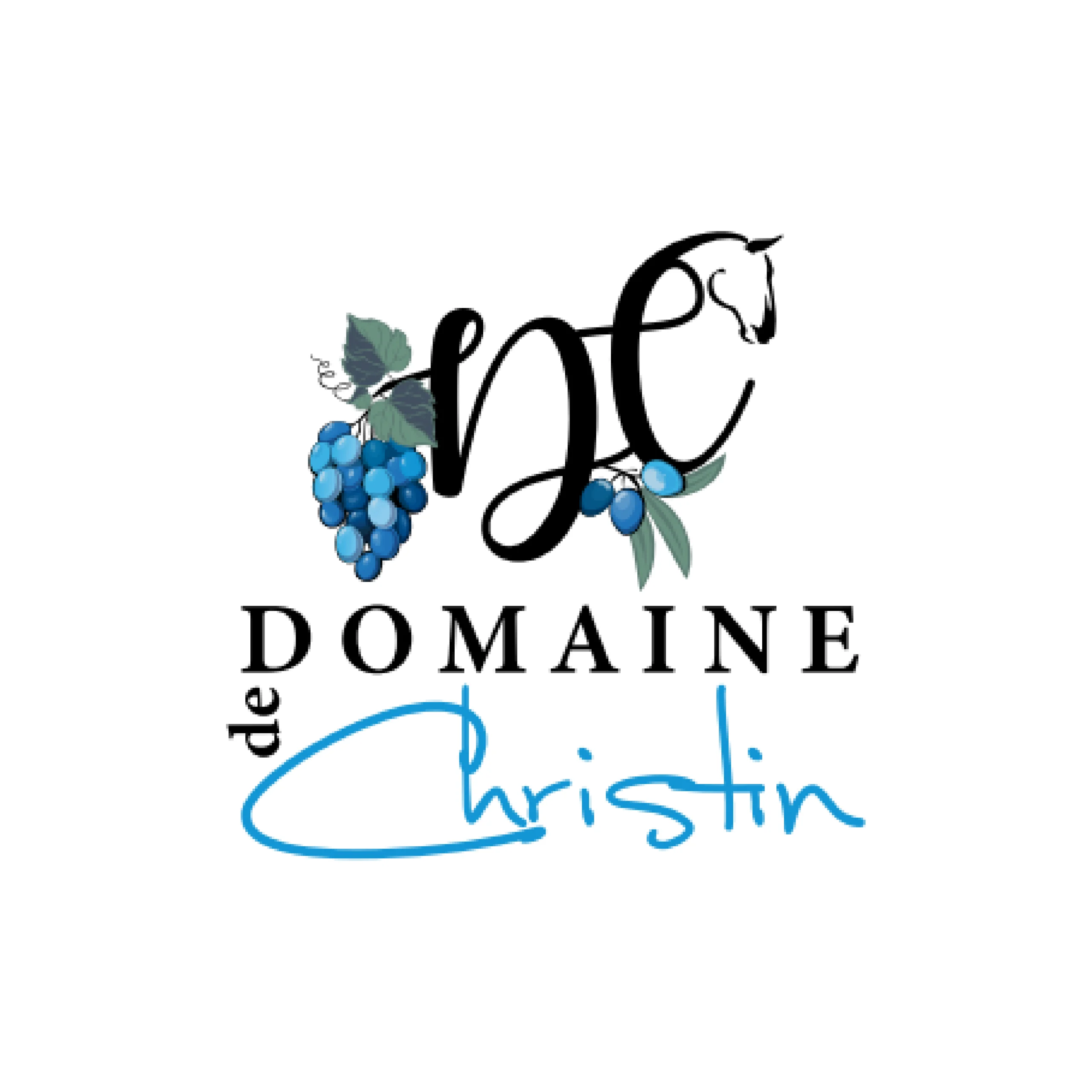 logo domaine de Cristin - Sommières