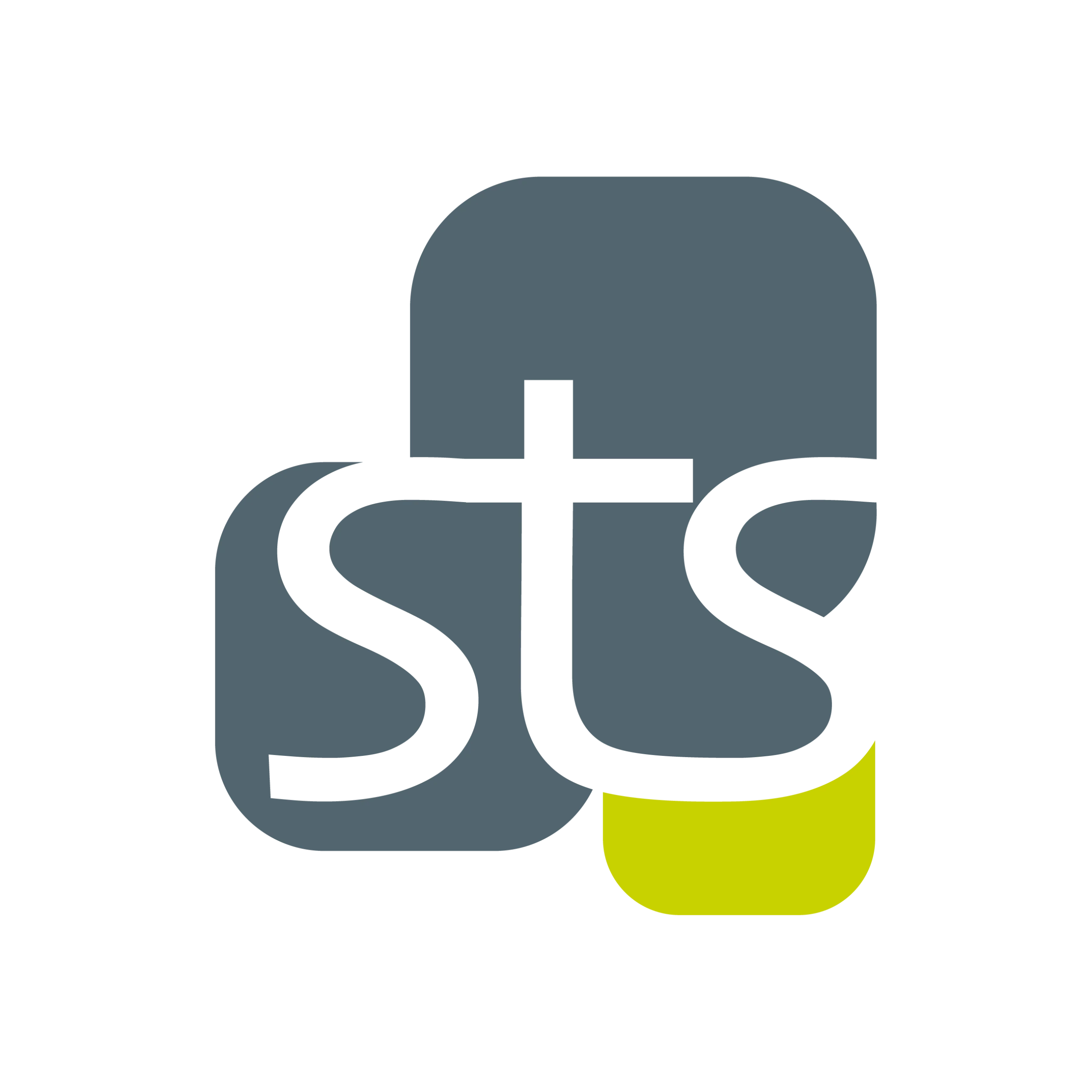 Logo STS Promotion